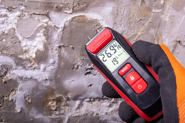 Best Crawl Space Mold Removal  in Roland, AR