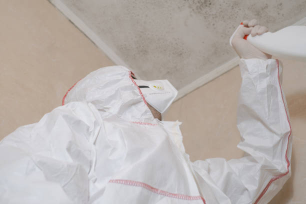 Best Professional Mold Removal  in Roland, AR