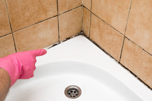 Best Residential Mold Removal  in Roland, AR